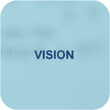 Vision